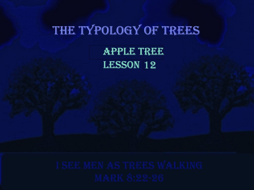 The Typology of Trees - Apple Tree